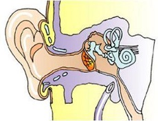 上新了 | 青滨附院耳鼻咽喉科：巧拆耳内“定时炸弹”，重建听骨链